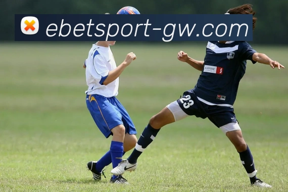 易倍体育品牌故事