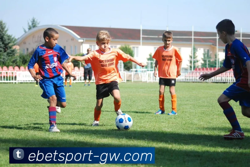 易倍体育服务体系